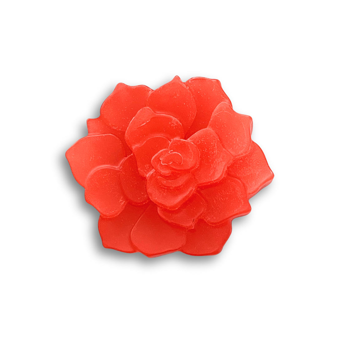Rose Succulent
