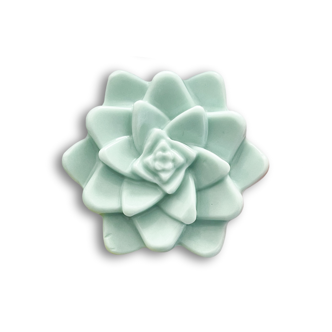 Spearmint Eucalyptus Succulent