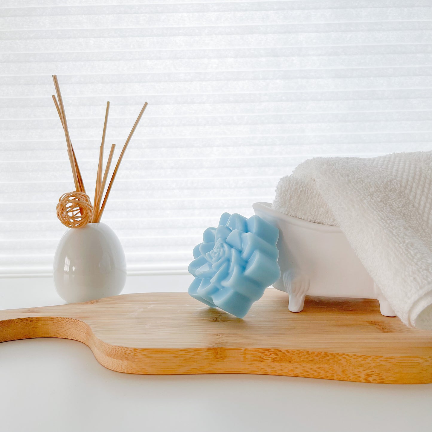 Wonderberry Succulent