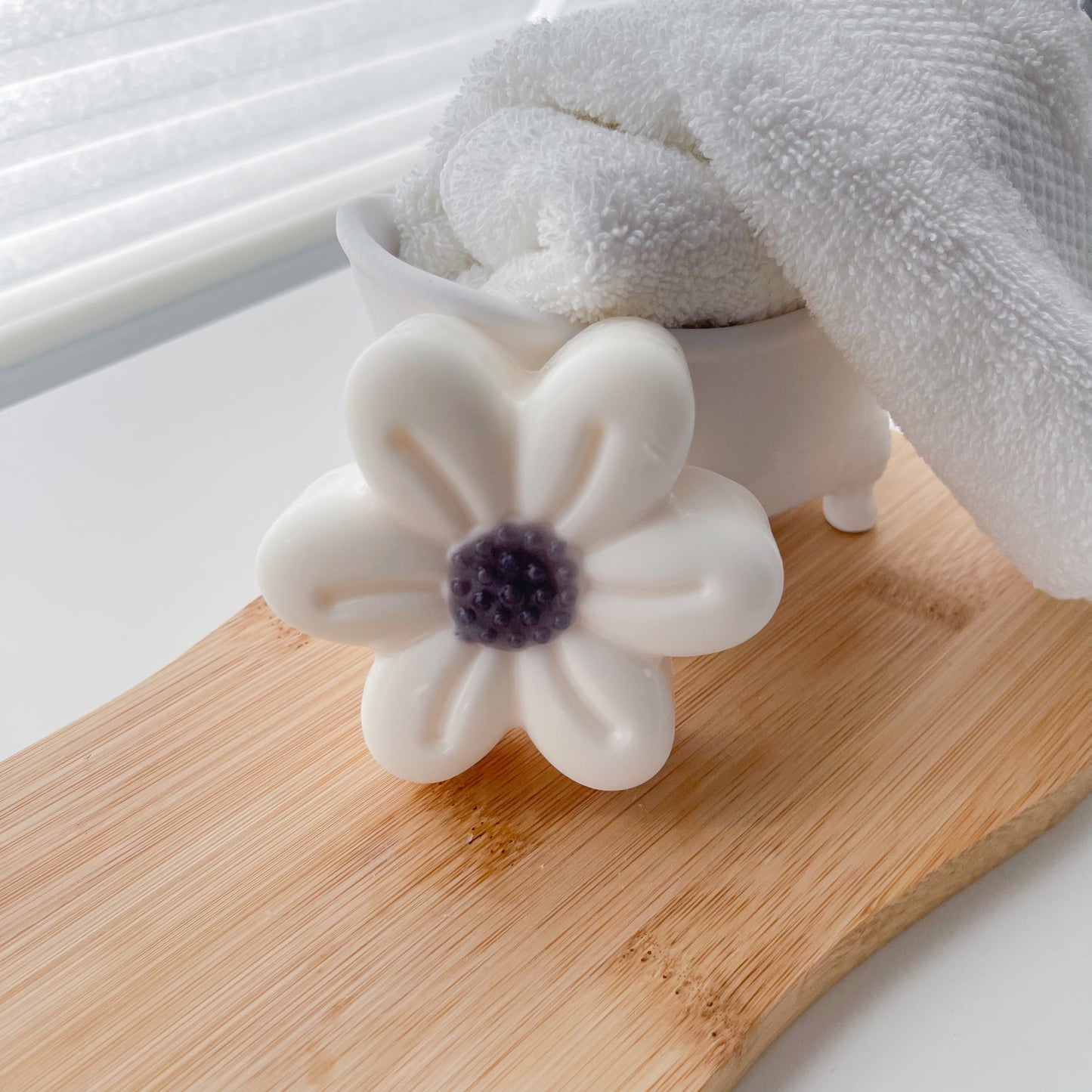 Blackberry Jam Daisy